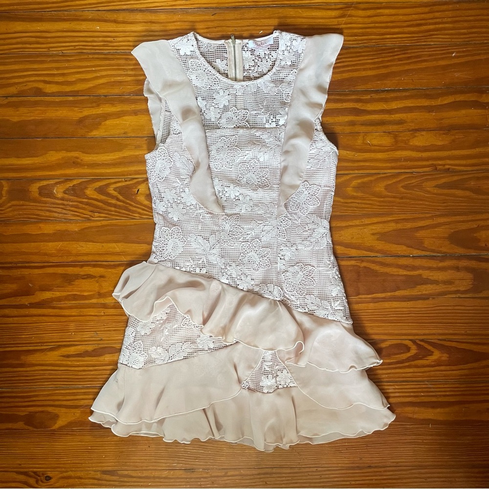 PARKER light pink Gabriel lace ruffled dress